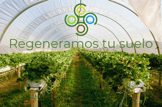 Regeneración del suelo en invernadero con Microorganismos Vivos: Clave para cultivos más rentables y sanos con BWO Agricultura.