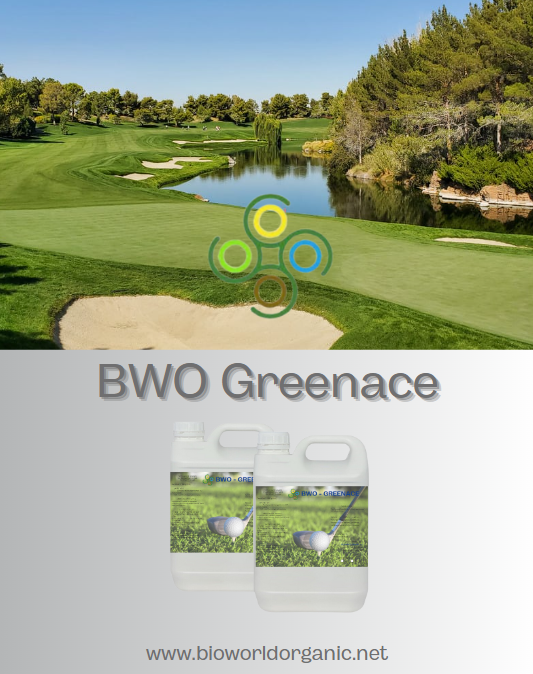 BWO Greenace 5 litros