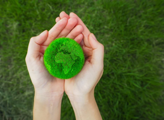 Mejores microorganismos para agricultura,microorganismos ajo,microorganismos cebolla,microorganismos brocoli,microorganismos zanahoria,microorganismos patata,microorganismos lechuga,microoranismos acelga,microorganismos coliflor,microorganismos olivo,microorganismos almendro