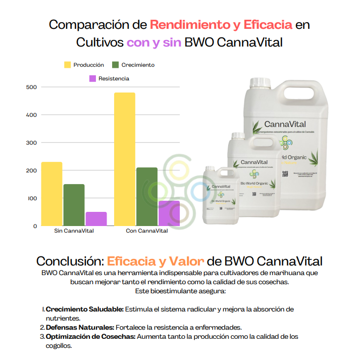 BWO CannaVital: Potenciador Natural para Cultivos de Cannabis 1L.